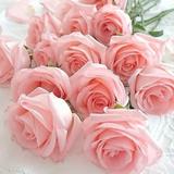 ＊Lumiere Rose＊