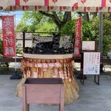 ノムラ　ジン