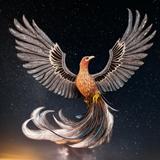 鳳　空斗