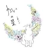 帆の星 design