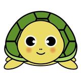 かめこう