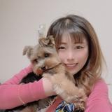 あやか 　WEBサイト制作