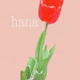 はな＊タロット占い•星読み師