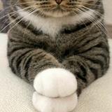延長嬢さん