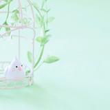 ゆき6170