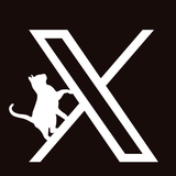 爆速フォロワーXキャット