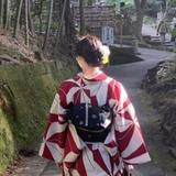 たぬき_書道師範の代筆