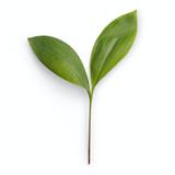 yasusada_肥料農薬を売る人