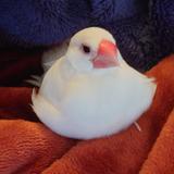 お話し聞かせてください
