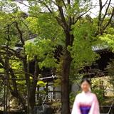 Мみさえ