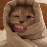 Whee かや