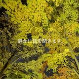 水急０４