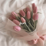 jun_dosen