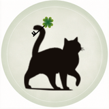 WebStudio Curly tail