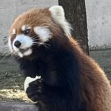 現役〝セラピスト〟【あなたの味方】