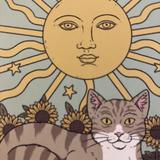 Sally｜恋愛と引き寄せ星読みタロット