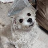 なかたサポ