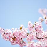 iammai8284