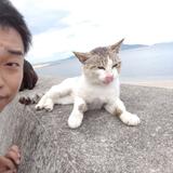 自由を手に入れたい