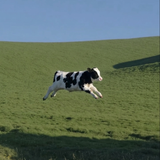 moo（むう）