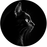 Noir_Edit【ノワール】