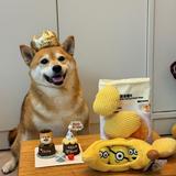 JustinCai08
