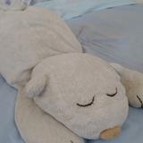 もふねむ