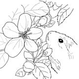 いもびより