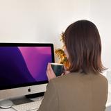 現役採用担当ぐう｜働くママのキャリア相談