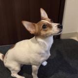 スライカズヤ