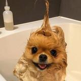 亜無意