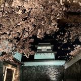 まなまなりんりん