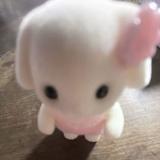 めあ♥