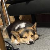 幸福の形