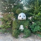 スズキミキ