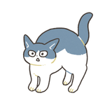 猫屋カエデ