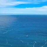 海波　爽