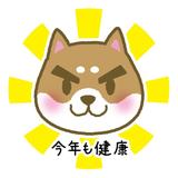 しばいぬわんこ