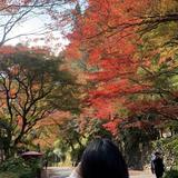 ももりん。