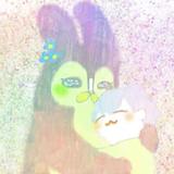 安縣たぬき