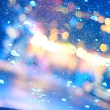 Harashima_photo