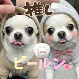 ピールン