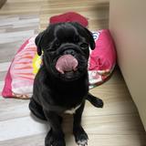 ゆるりナース相談室