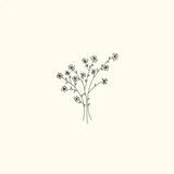 atelier gypsophila
