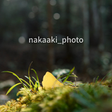 nakaaki_photo