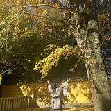 就活・転職サポーター