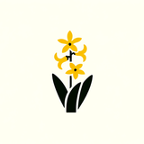hyacinth y