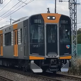 旅するアオナミ