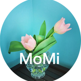 MoMi87