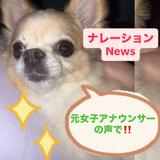 ことばの郵便屋さん